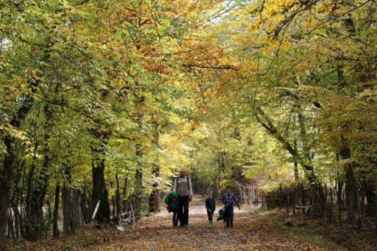 Seoski Turizam Zilicina Rogatica 外观 照片